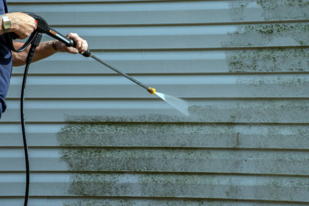 Best Pool Deck Cleaning  in Whippany, NJ